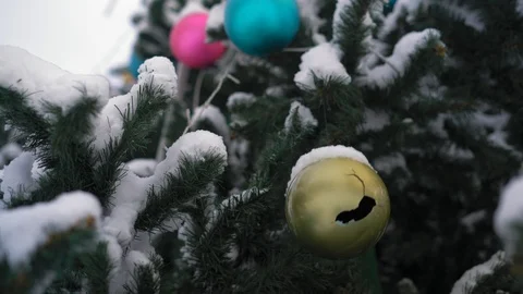 Close-Up, Broken Toy on a Snow-Covered Christmas Tree Stock Footage 101712745