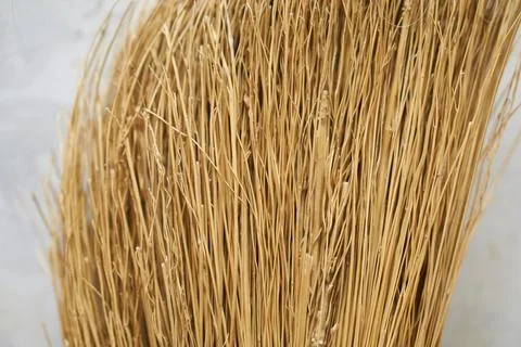 Close up of a broom for cleaning in the bathroom. Selective focus. Stock Photos