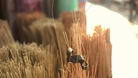 Close-up broomstick Stock Footage 291898931