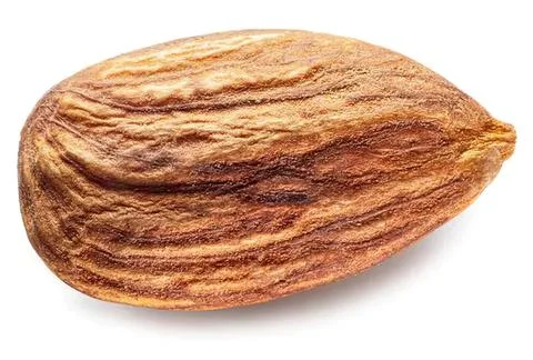 Close-up of a brown almond with textured shell Fotos Stock