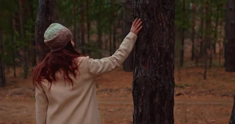Close-up, brown bark of trees. Woman's hand touches a tree trunk, a walk in the Stock Footage 166807608