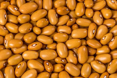 Close-up of brown beans Stock Photos