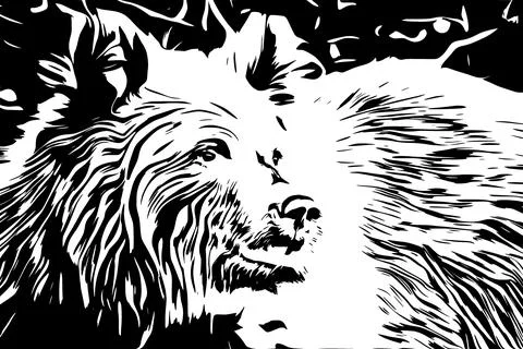 Close-up of a brown bear head, illustration for T-shirt, clothes, tattoo, log Stock Illustration