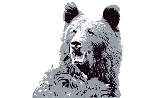Close-up of a brown bear head, illustration for T-shirt, clothes, tattoo, log Illustrazione stock