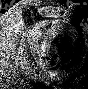 Close-up of a brown bear head illustration for T-shirt, clothes, tattoo, logo Stock Illustration