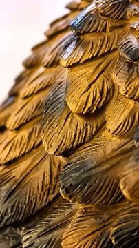 Close up brown bird feathers layered texture pattern Stock Photos