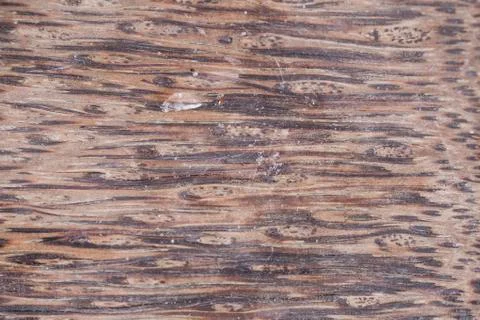Close up on the brown board Stock Photos