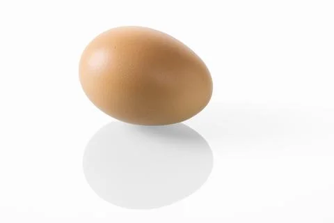 Close-up of brown chicken egg with reflection on a white background Stock-Fotos