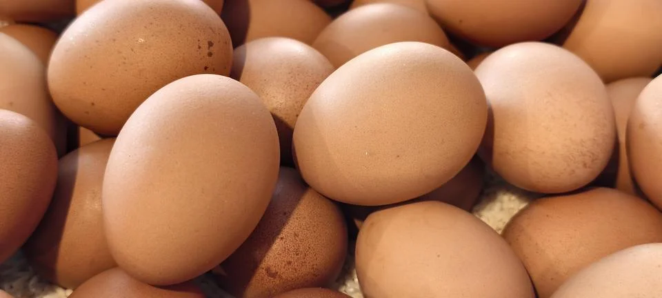 Close‑up of brown chicken eggs Stock Photos