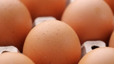 Close-up of brown egg in container bought from the farm. Stock-Footage 127806400