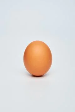 Close up of brown egg in line on plain white background. Minimal fashion co.. Stock Photos