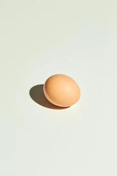 Close up of brown egg in line on plain white background. Minimal fashion conc Stock Photos