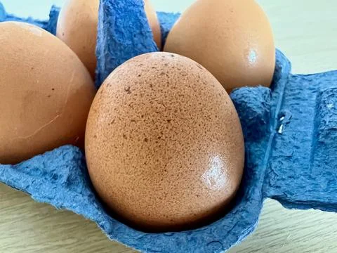 Close-up of brown eggs in a blue egg carton Stock Photos