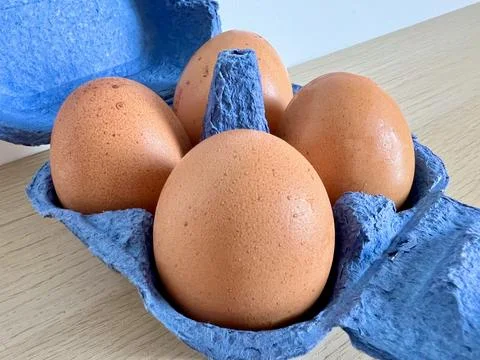 Close-up of brown eggs in a blue egg carton Stock Photos