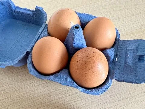 Close-up of brown eggs in a blue egg carton Stock Photos