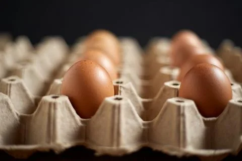 Close up brown eggs in egg box Stock Photos