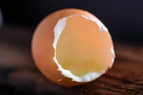 Close-up of Brown Empty Eggshell on Wooden Surface in 4K Image Stock Photos