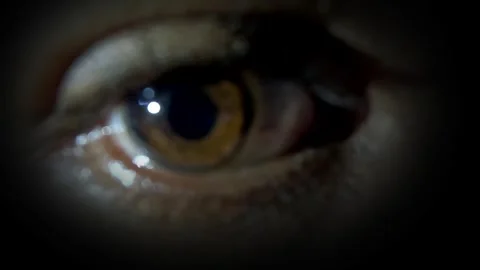 Close Up of Brown Eye Blinking in Dark watching in the hole Stock Footage 341504154