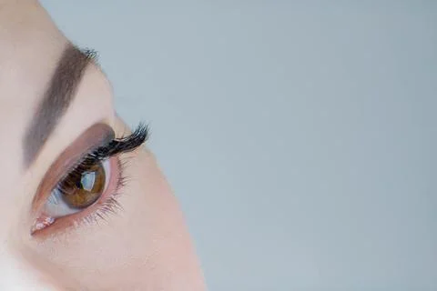 Close-up of brown eye with long false eyelashes, ideal skin, flawless eyebrow of Stock Photos