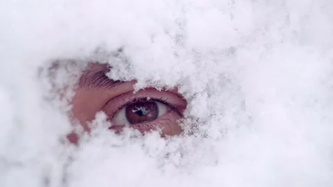 Close-up of the brown eye is opened among the snow, powdered with snow. after a Stock Footage 147725315