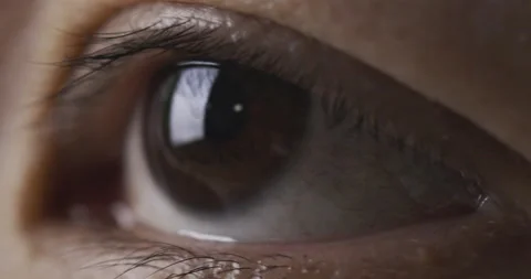 Close-up brown eye is opening and watching laptop. Video stock 148066493