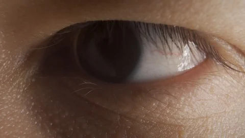 Close Up Brown Eyes Looking To The Side Stock Footage 128014863