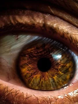 Close-up of a brown human eye. Stock Photos