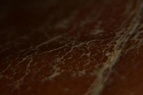 Close up of brown leather texture background macro photography 库存照片