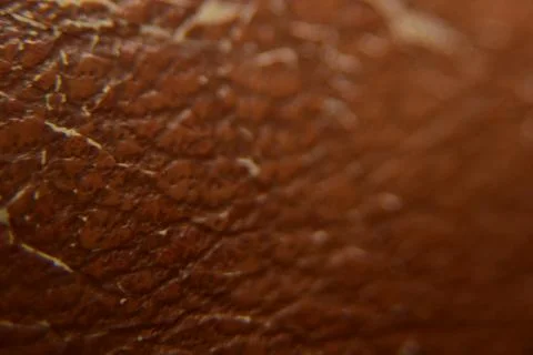 Close up of brown leather texture background macro photography Stock Photos