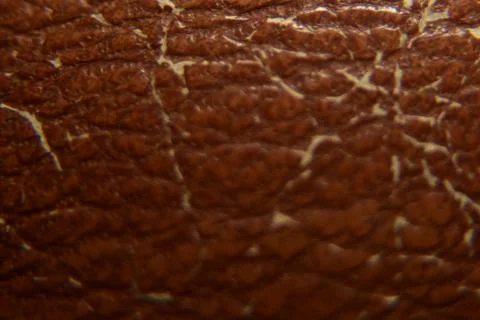 Close up of brown leather texture background macro photography Stock Photos