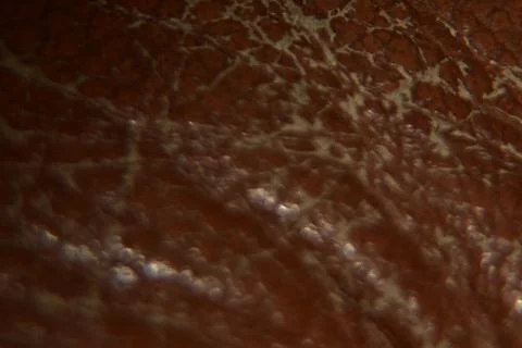 Close up of brown leather texture background macro photography Stock Photos
