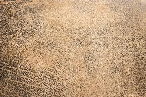 Close up brown leather texture background. Stock Photos