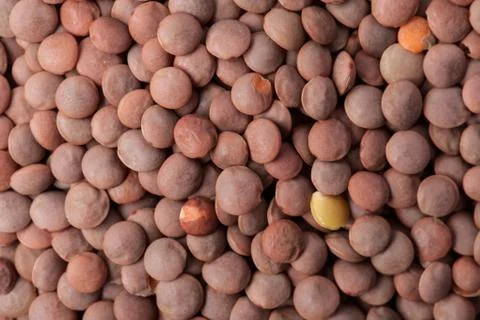 Close up of brown-lentils Stock Photos