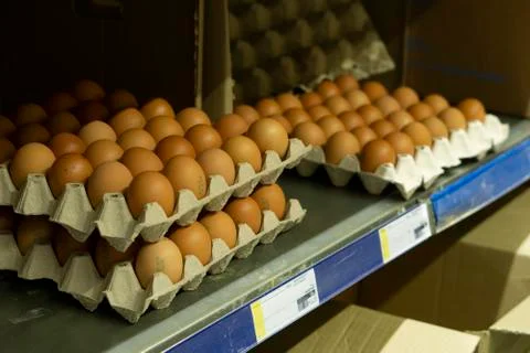 Close-up of brown medium sized chicken egg cartons on a shelf in a retail store Stock Photos