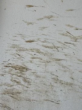 Close Up Of Brown Mud Stains Splattered On White Wall Surface Stock Photos