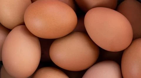 Close up brown raw eggs Stock Photos