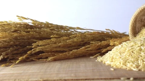 Close up brown rice with camera movement. Stock Footage 76277433