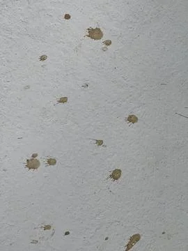 Close Up Of Brown Splatter Stains On Rough Painted Wall Texture Foto stock