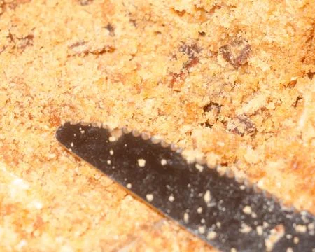 Close up of brown sponge cake texture with knife Foto stock