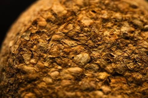 A close up of a brown surface with texture Stock Photos