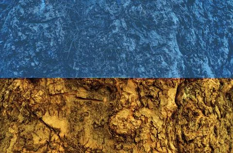Close up of brown textured Tree trunk background Stock Photos