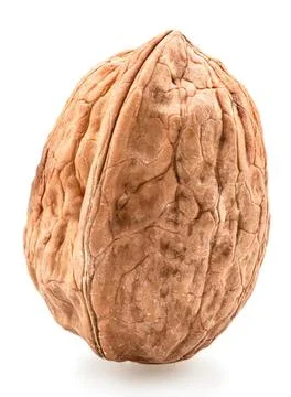 Close-up of a brown walnut with textured shell Stock-Fotos