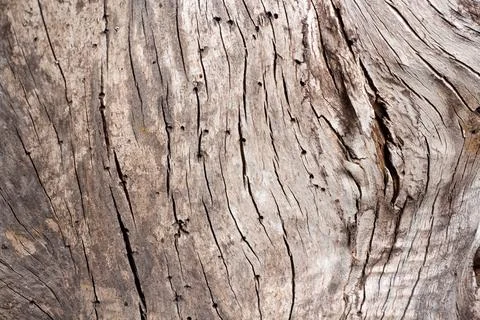 Close-up of brown wood texture background Stock Photos