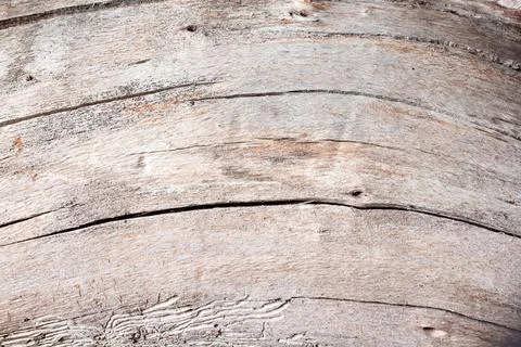 Close-up of brown wood texture background Stock Photos