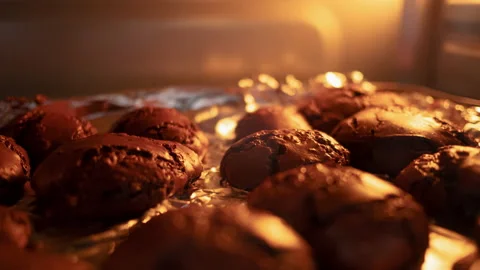 Close-up of brownie cookies baking in cookware through oven door. Vídeo Stock 158659656