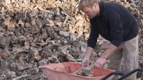 Close-up, brunette man stacking firewood in a cart on wheels Stock Footage 261447448