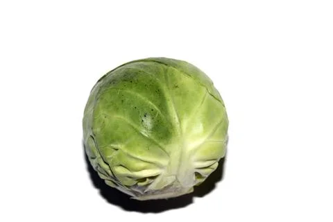 Close Up of Brussels Sprout Vegetable Cabbage Stock Photos