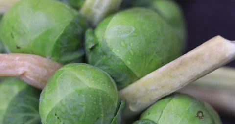 Close-up of brussels sprouts Stock Footage 167911968