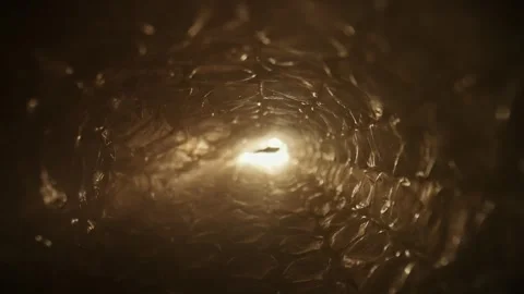 Close Up of Bubble Wrap Texture for Packaging Solutions Stock Footage 309291264