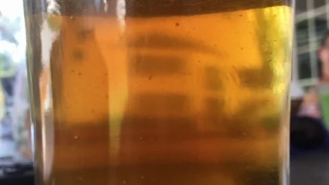 Close up of bubbles in a beer, in slow motion Stock-Footage 87294200
